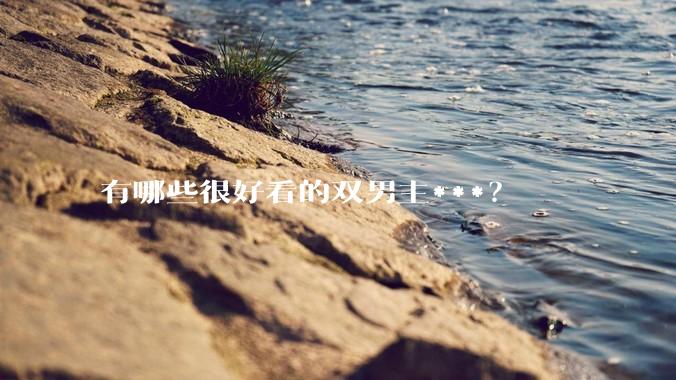 有哪些很好看的双男主***？