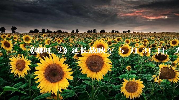 《哪吒 2》延长放映至 5 月 31 日，为什么会再次延期？进入五一档期，票房可能会排第几？
